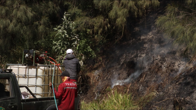 Kebakaran hutan dan lahan kembali terjadi di kawasan Gunung Bromo