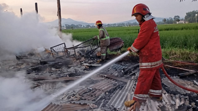 Upaya pemadaman yang dilakukan petugas Damkar.