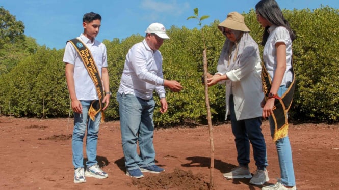 Unikama menanam bibit mangrove di CMC Tiga Warna