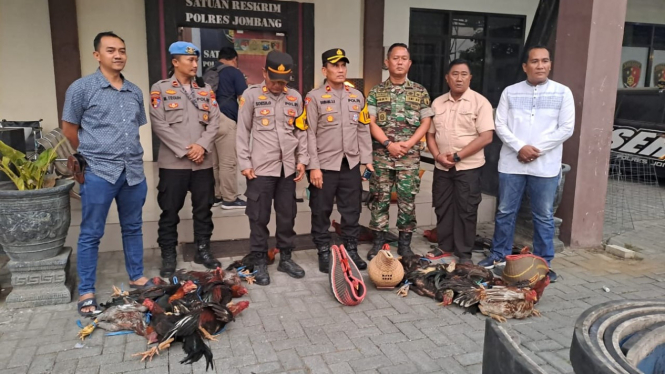 Polisi usai pengerebekan judi sabung ayam di sekitar Ponpes