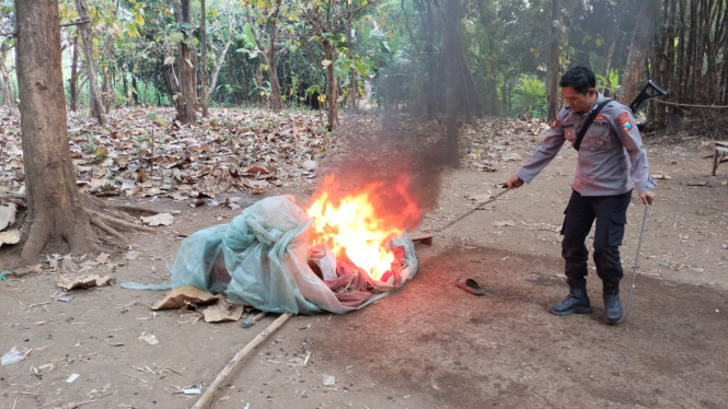 Polisi saat musnahkan sarana judi sabung ayam.