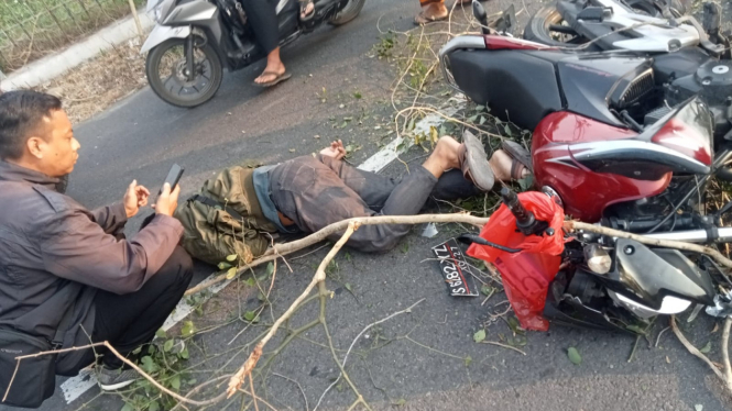 Pohon tumbang di Jombang timpa pengguna jalan