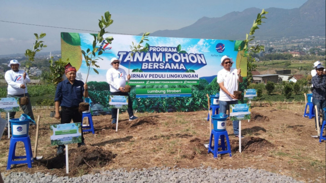 AirNav tanam bibit pohon mangka di Lumbung Stroberi.