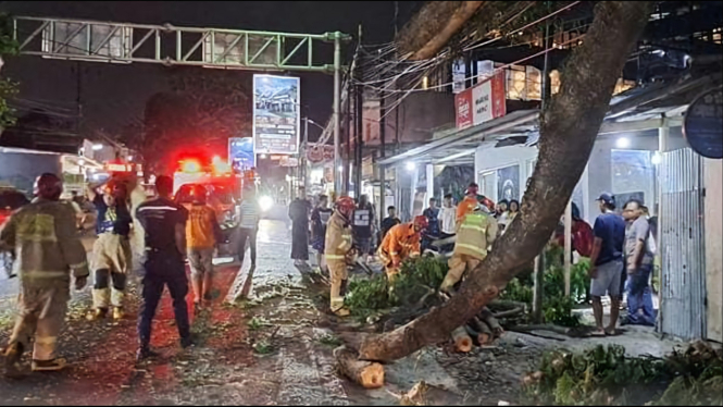 Pohon tumbang di Kota Batu.