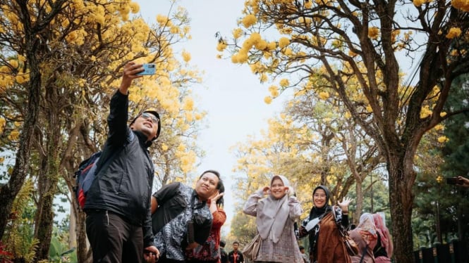 Festival Tabebuya di Desa Pendem Kota Batu