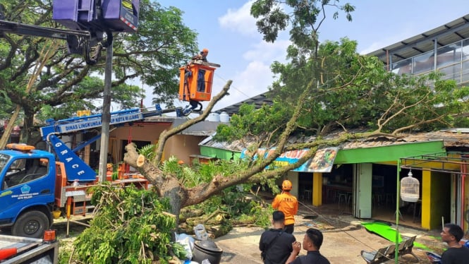 Pohon timpa Warung di Stasiun Malang,