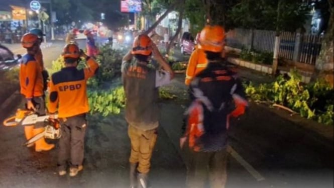 Pohon tumbang di Jalan Diponegoro Kota Batu