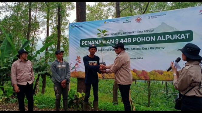 Penanaman alpukat jenis aligator di Lereng Gunung Arjuno