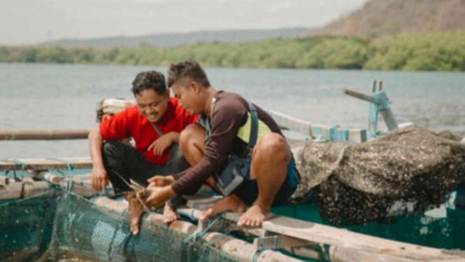 LOBSTECH, teknologi tepat guna bagi nelayan lobster