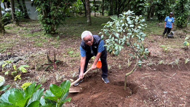 Penanaman bibit pohon oleh Bulog di Arboretum