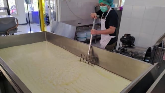 Produksi keju mozarella chizzu koperasi di Kota Batu