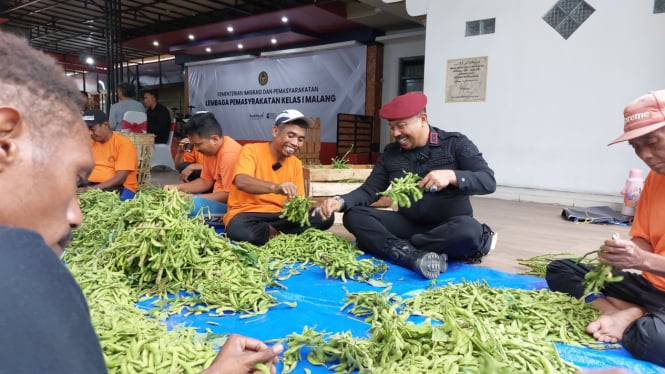 Panen kedelai edamame di Lapas Kelas I Malang