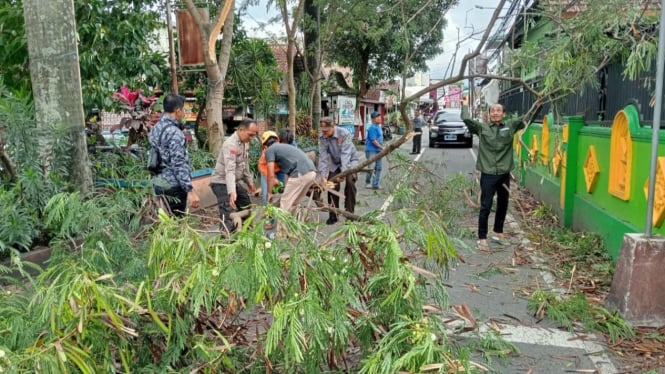 Pohon tumbang di Kota Malang