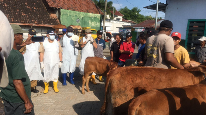 Vaksinasi PMK di pasar sapi.