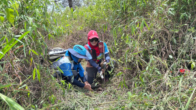 Nandur Bareng Ngerumat Alas Ranupani