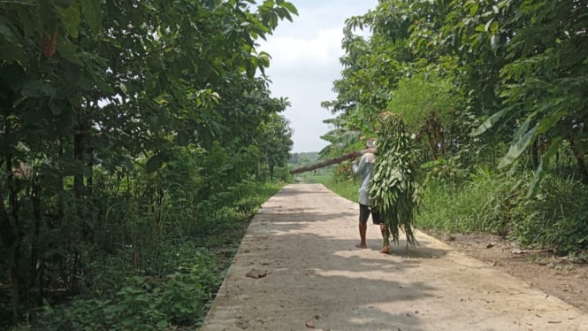 Jalan rabat beton yang diduga masuk kawasan Perhutani.