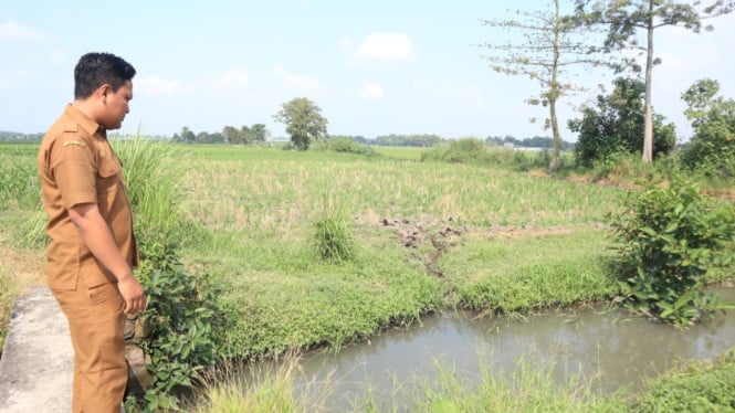 Area pertanian di Desa Tambar diduga tercemar limbah