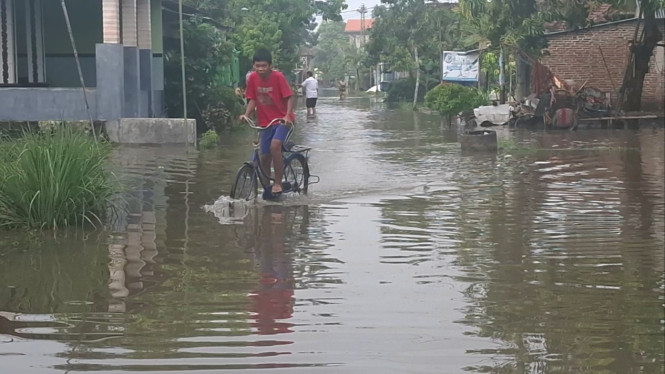 Genangan air di pemukiman warga Jombang