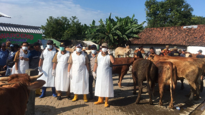 Disnak Jombang saat cek kesehatan hewan di pasar sapi.
