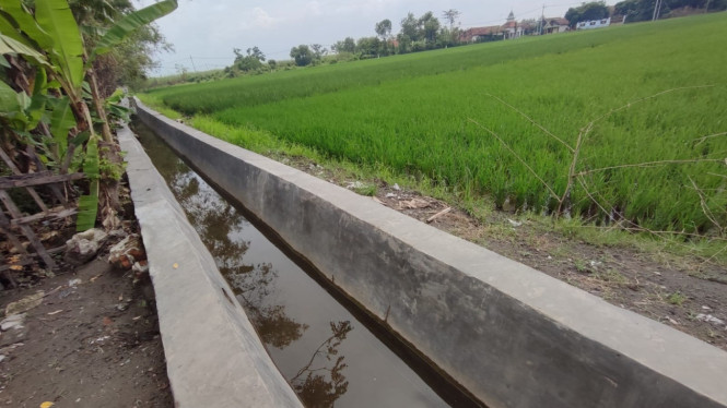 Proyek saluran drainase dari anggaran pokir DPRD Jombang.