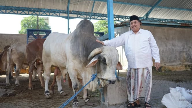 Bupati Jombang, Abah Warsubi saat pantau kegiatan kurban.