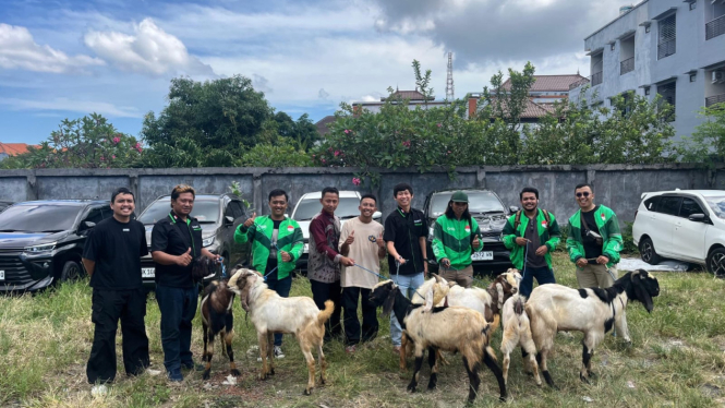 Pembagian kambing kurban grab ke mitra pengemudi
