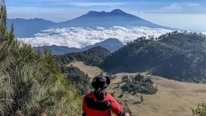 Pendaki Asal Sidoarjo Hilang Misterius di Gunung Buthak, Pencarian ...