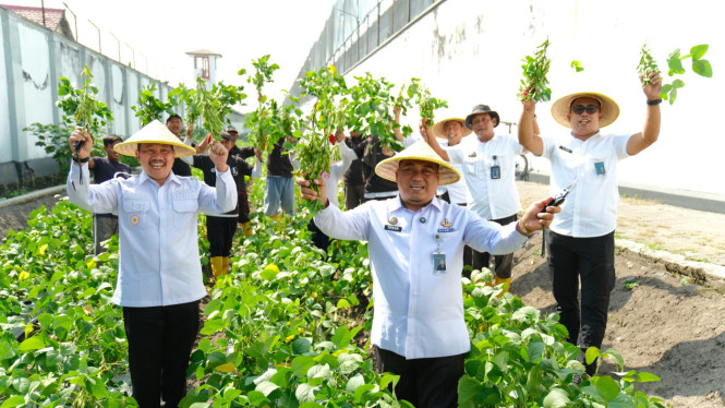 Panen Edamame di Lapas Kelas I Malang