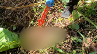 Warga Tertutup, Polisi Kesulitan Ungkap Pembunuh Nenek Tewas Dimutilasi di Nisel