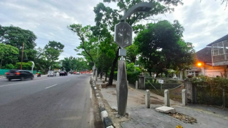 Proyek gagal lampu pocong di Kota Medan. Proyek gagal lampu pocong di Kota Medan.