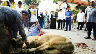 UMSU Sembelih 58 Ekor Hewan Kurban, Rektor : Komitmen Kepedulian dan Kebersamaan