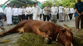 Idul Adha, Gubernur Sumut: Teladani Kisah Nabi Ibrahim Ketaatan Kepada Allah