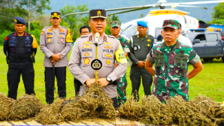 Gunakan Teknologi Citra Satelit dan Drone, Polda Sumut Ungkap Ladang Ganja 150 Hektar di Madina