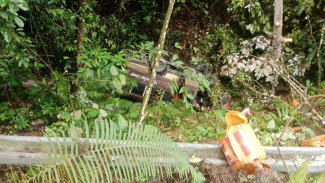 Kecelakaan Maut Bus Terjun ke Jurang di Tapanuli Utara, Dua Tewas dan 11 Luka-luka