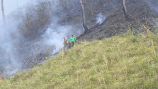 Kondisi hutan lindung Danau Toba di Samosir yang terbakar. Kondisi hutan lindung Danau Toba di Samosir yang terbakar.