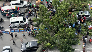 Kondisi lokasi pohon tumbang yang menimpa sejumlah kendaraan. Kondisi lokasi pohon tumbang yang menimpa sejumlah kendaraan.
