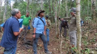 Penurunan Emisi Gas Rumah Kaca, dalam Pengelolaan Hutan Kemenyan di Taput