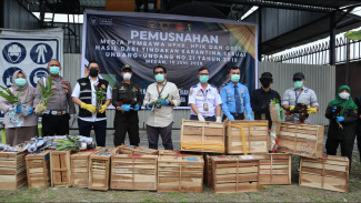 Penindakan Tim Gabungan, Karantina Sumut Musnahkan Satwa dan Tumbuhan Ilegal Senilai Rp 3,81 Miliar