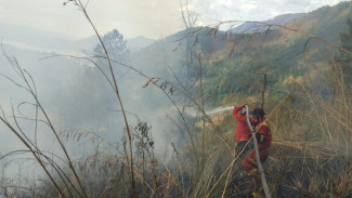 Kebakaran Hutan Danau Toba di Samosir Berhasil Dipadamkan, Area Terbakar Capai 150 Hektar