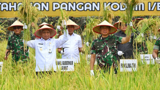 Panen Raya Padi di Sumut, Panglima TNI: Ketahanan Pangan Komponen Utama Pertahanan Negara