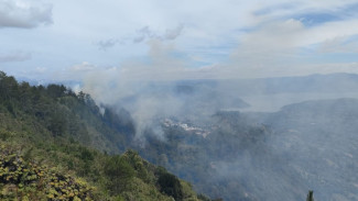 Kebakaran Hutan di Taput Merambat ke Humbahas, Area Terbakar Capai 50 Hektar