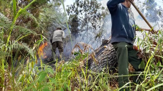 Penyebab Karhutla di Kabupaten Taput, Diduga Berasal dari Pembakaran Lahan