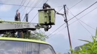 Hingga September 2025, Dishub Medan Catat Telah Lakukan Pemasangan dan Perawatan 95.369 Titik LPJU