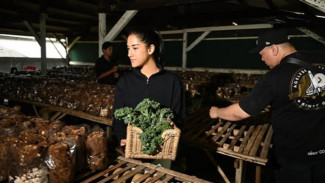 Disebut Dibalik Perceraian Hamish Daud dan Raisa Andriana, Ini Sosok Sabrina Alatas