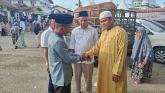 Wakil Ketua XIII DPR Serahkan Bantuan 1 Ekor Sapi untuk Haul Tuan Guru Besilam ke-102 Tahun