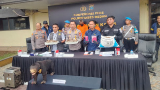 Polrestabes Medan Ungkap Perdagangan Beruang Madu dan Trenggiling, 2 Pelaku Ditangkap