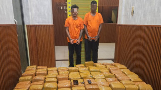 Polda Sumut Gagalkan Penyelundupan Ganja 255 Kg, Dua Kurir Diupah Rp50 Juta