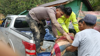 Bencana Alam di Kabupaten Taput Tercatat 54 Kali Kejadian: 9 Meninggal Dunia dan 31 Masih dalam Pencarian