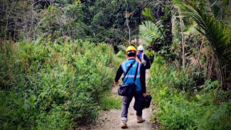 Melalui Perbaikan Backbone, PLN Icon Plus Percepat Pemulihan Jaringan di Batang Toru Tapsel