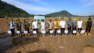 Kementan Kucurkan Bantuan Rp 78,5 Miliar untuk Pemulihan Lahan Pertanian Terdampak Bencana di Sumatera